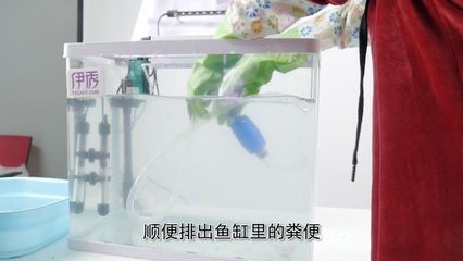 虹吸原理在魚缸中的應用：虹吸與真空泵的區別