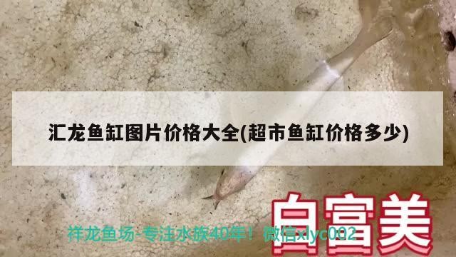 營口市站前區老本琦水族銘品店