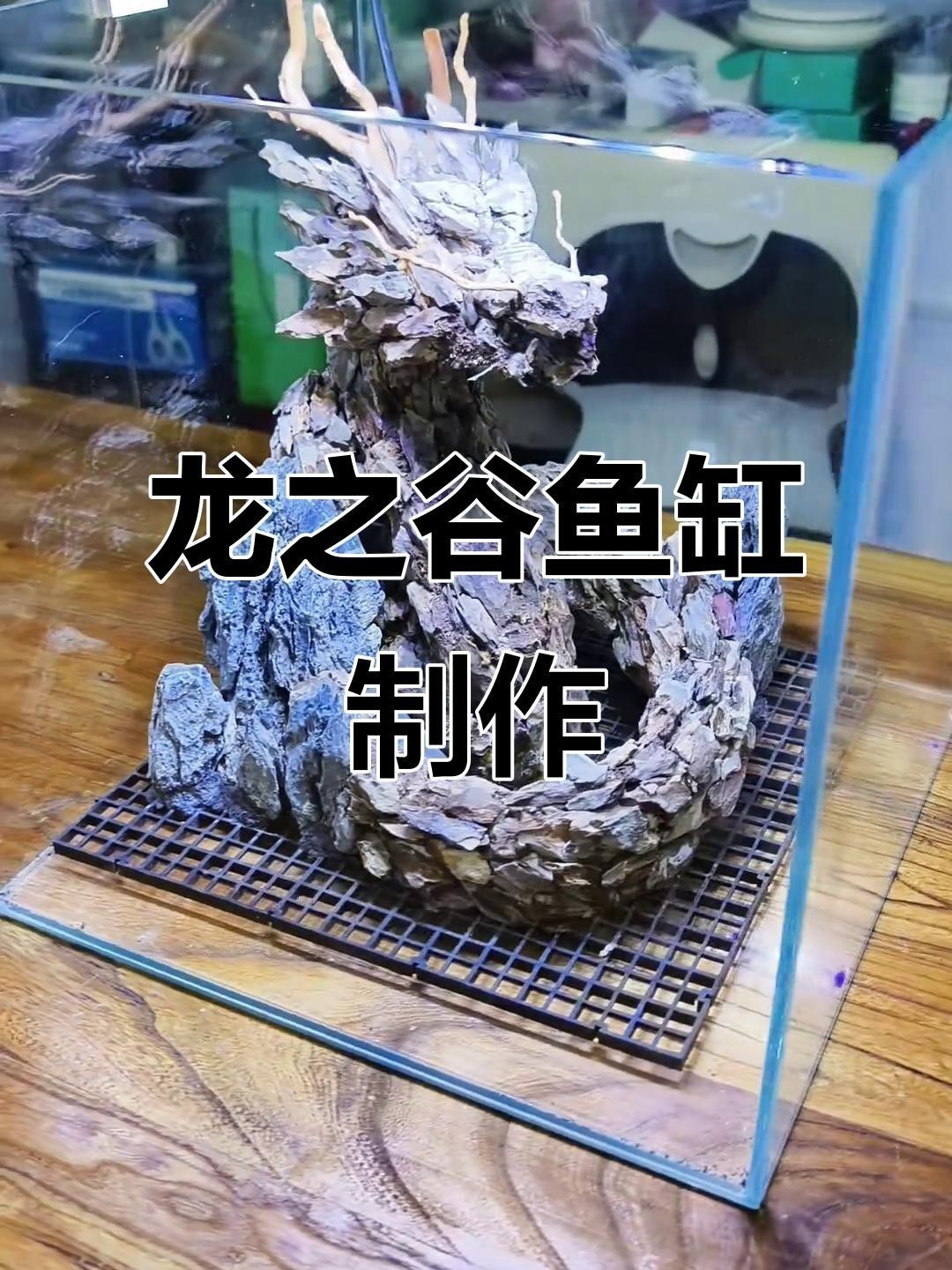 龍魚缸如何布置造景? 龍魚論壇 第3張 龍魚缸如何布置造景? 龍魚缸如何布置造景? 龍魚論壇 第3張