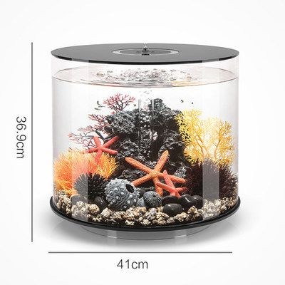 關于魚缸的描寫（五彩斑斕的魚兒自由自在地游弋，水草在柔和的燈光下搖曳生姿）