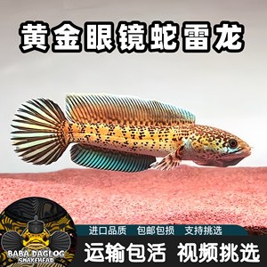 深圳市星農(nóng)源水產(chǎn)有限公司（深圳市星農(nóng)源水產(chǎn)有限公司怎么樣）