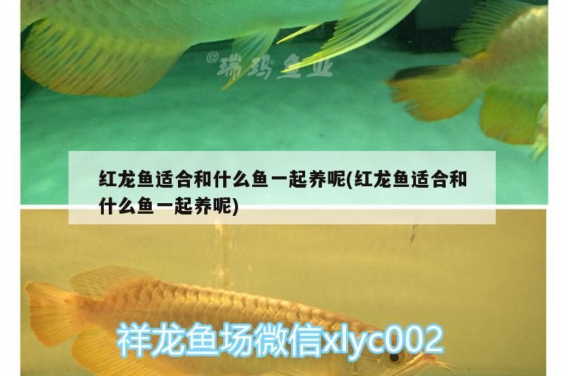 信陽魚缸訂做（信陽魚缸訂做店鋪）