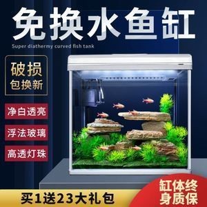 為什么魚缸的魚都往一邊聚集：為什么魚缸里的魚往一邊聚集？ 為什么魚缸的魚都往一邊聚集：為什么魚缸里的魚往一邊聚集？ 魚缸百科 第2張