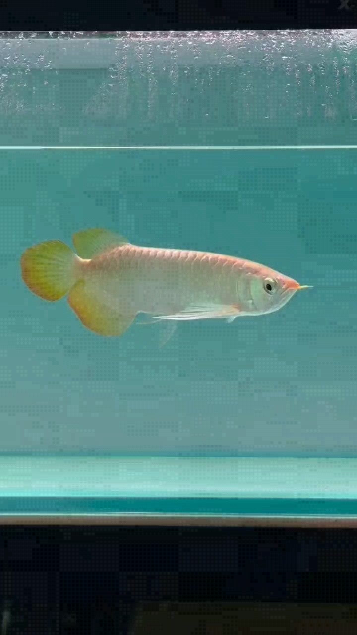 你看我干凈不