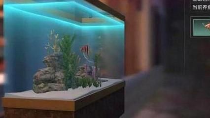 魚缸的玩家：魚缸diy教程入門，風水魚缸布局指南
