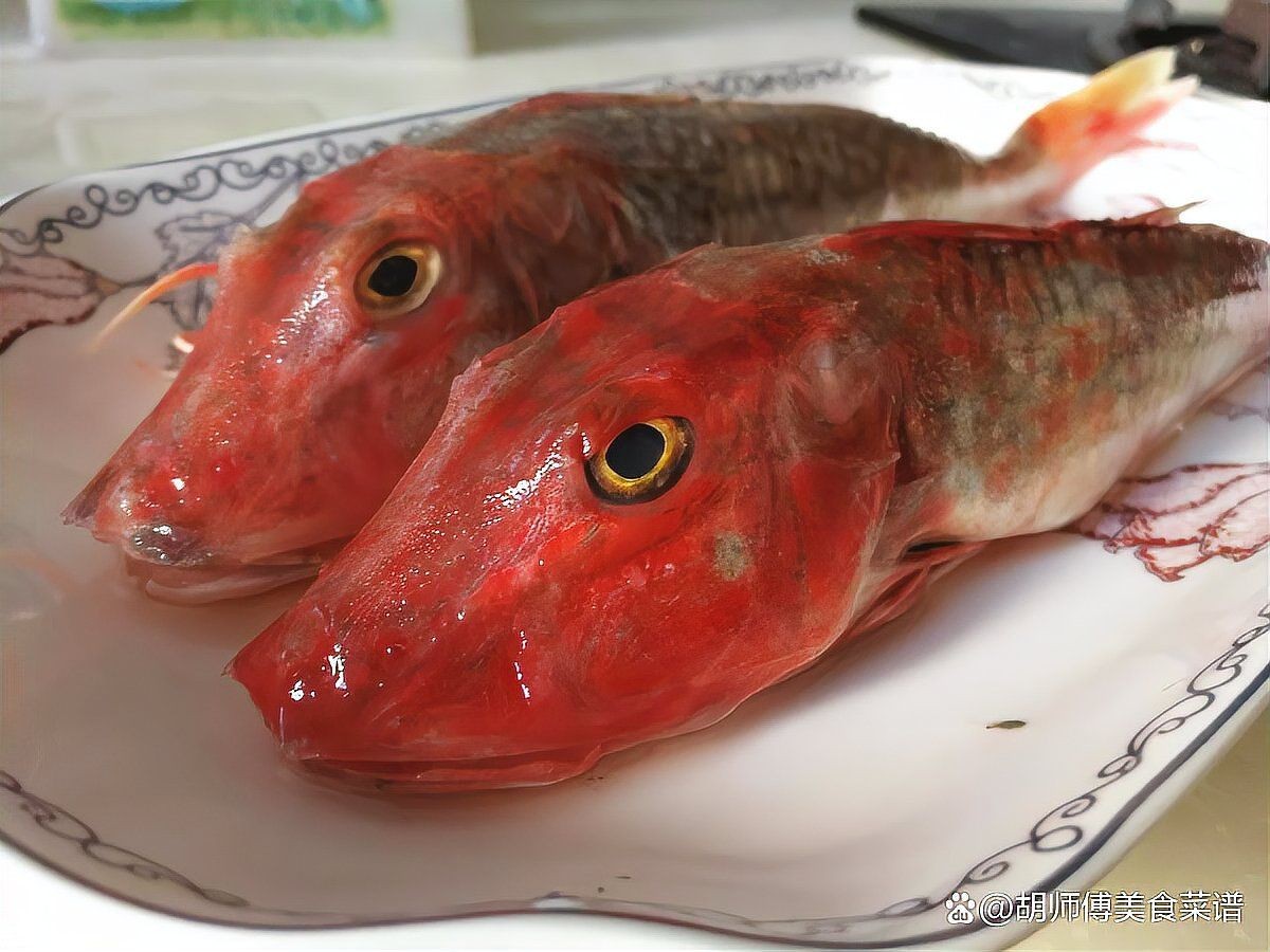 紅頭魚(yú)叫什么名字