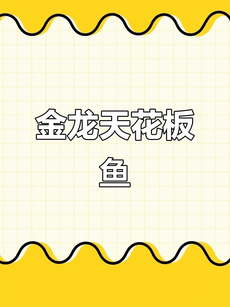 過背金龍屬于什么檔次