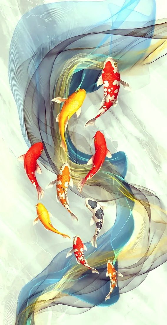 旺財魚圖片100張