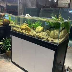 熱帶魚飼養指南熱帶魚飼養指南熱帶魚飼養指南熱帶魚飼養指南：海缸造景的藝術與科學