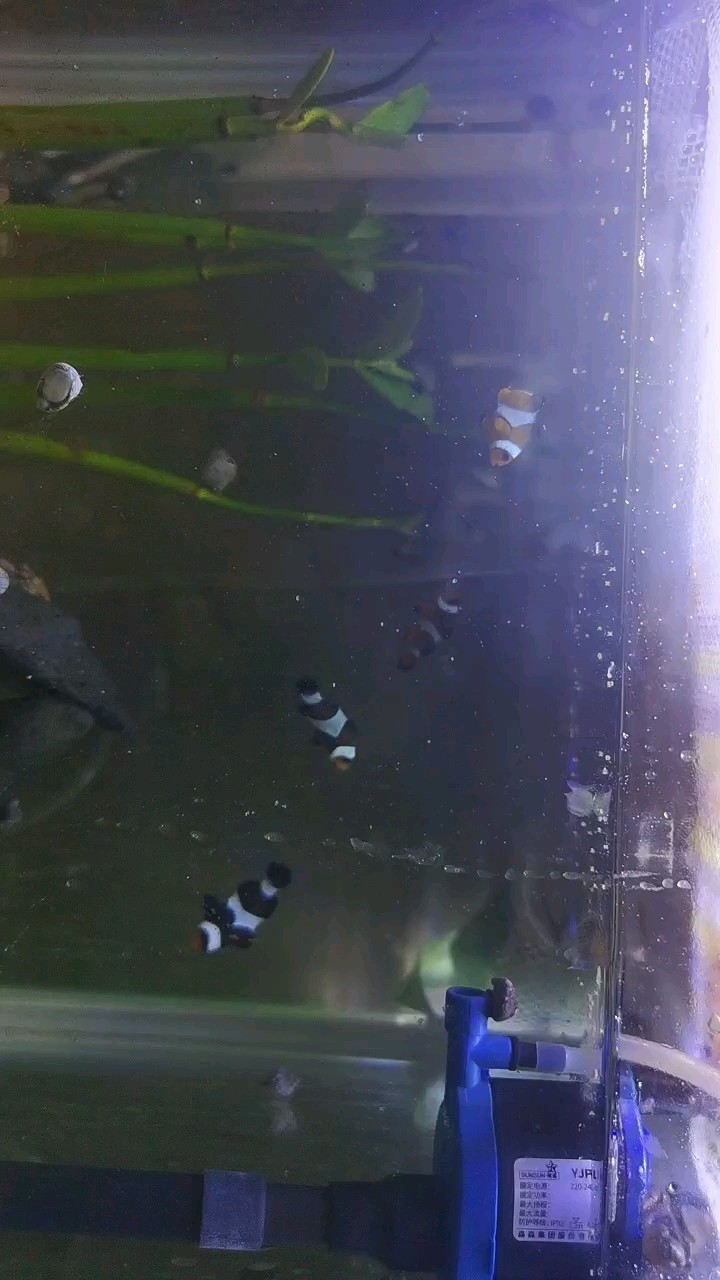 人生百態