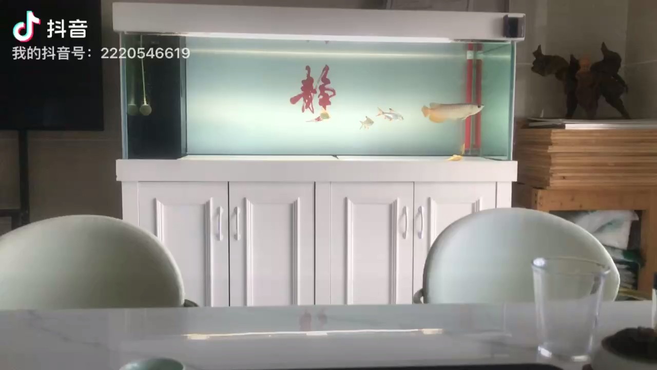 狀態慢慢恢復了，快兩個月了