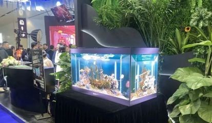 魚缸品牌十大排名榜最新（魚缸品牌十大排名最新魚缸品牌十大排名榜最新）
