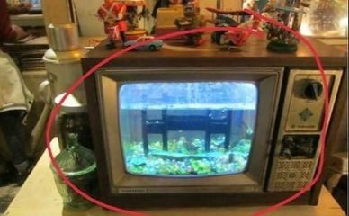 魚缸過濾器的使用：自制魚缸過濾器改裝過程中的過濾器可以為魚缸增添個性化的風格
