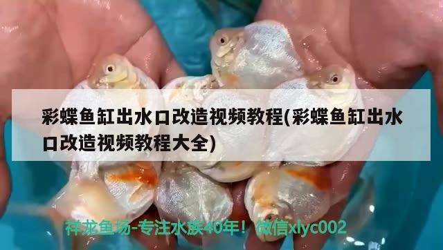 武進區橫林紅英觀賞魚店