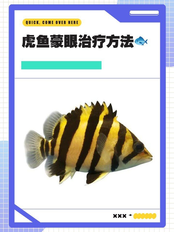 虎魚泡藥了還可以養嗎