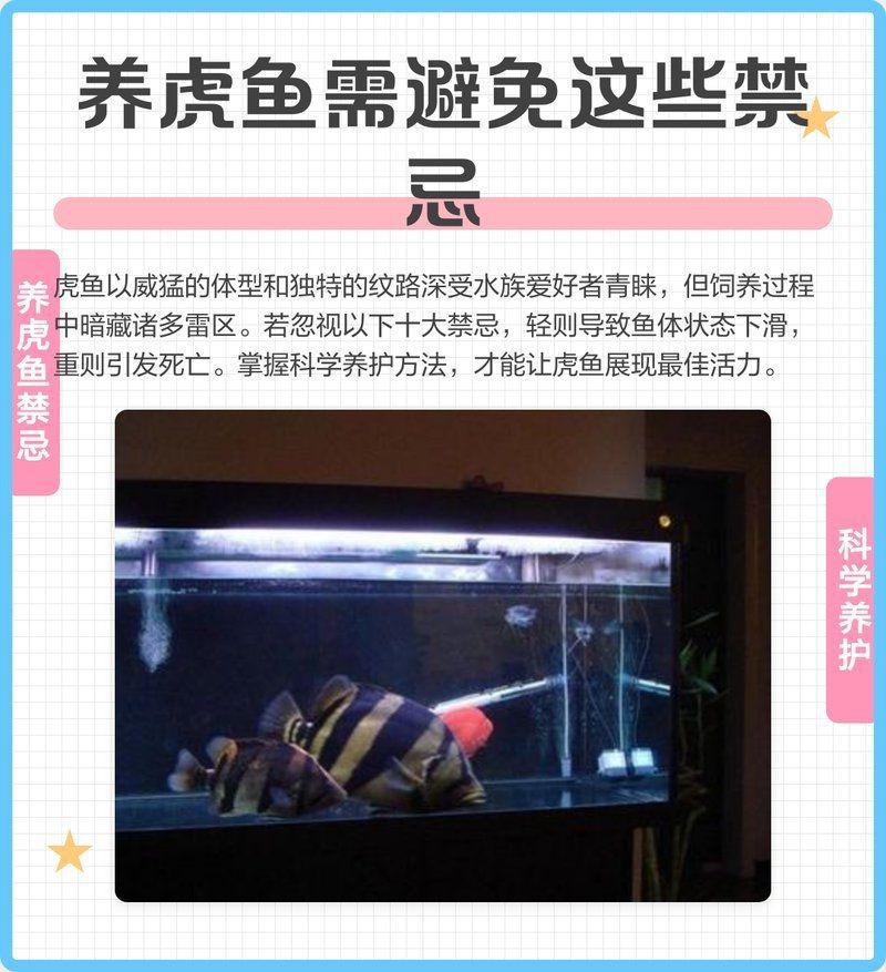 虎魚泡藥了還可以養嗎