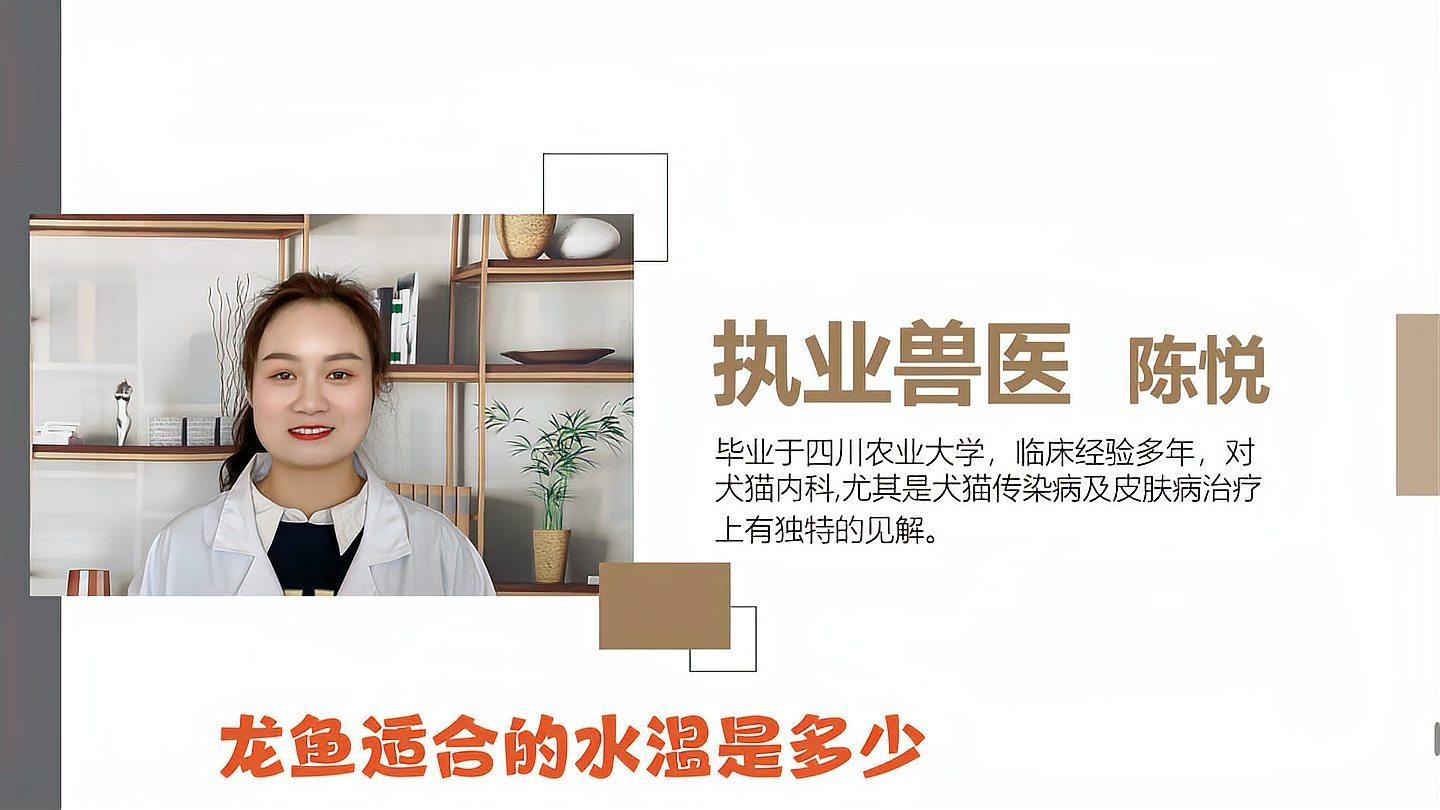 龍魚飼養(yǎng)中常見的溫度問題有哪些？