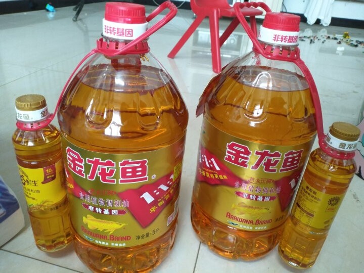 魚缸大概多少錢（亞克力魚缸的優缺點對比如何選擇適合自己魚缸）