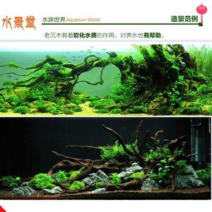 廣東魚缸批發廠家有哪些：廣東魚缸品牌的歷史沿革廣東魚缸品牌的歷史沿革廣東魚缸品牌