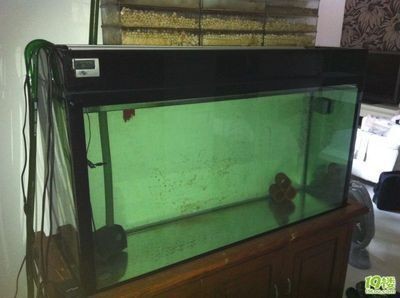 廣州二手魚缸交易平臺如何選擇合適的二手魚缸交易平臺：如何挑選合適的二手魚缸