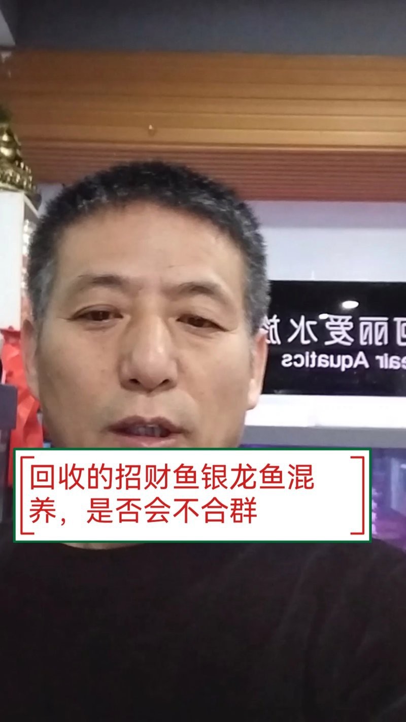 私人上門回收觀賞魚