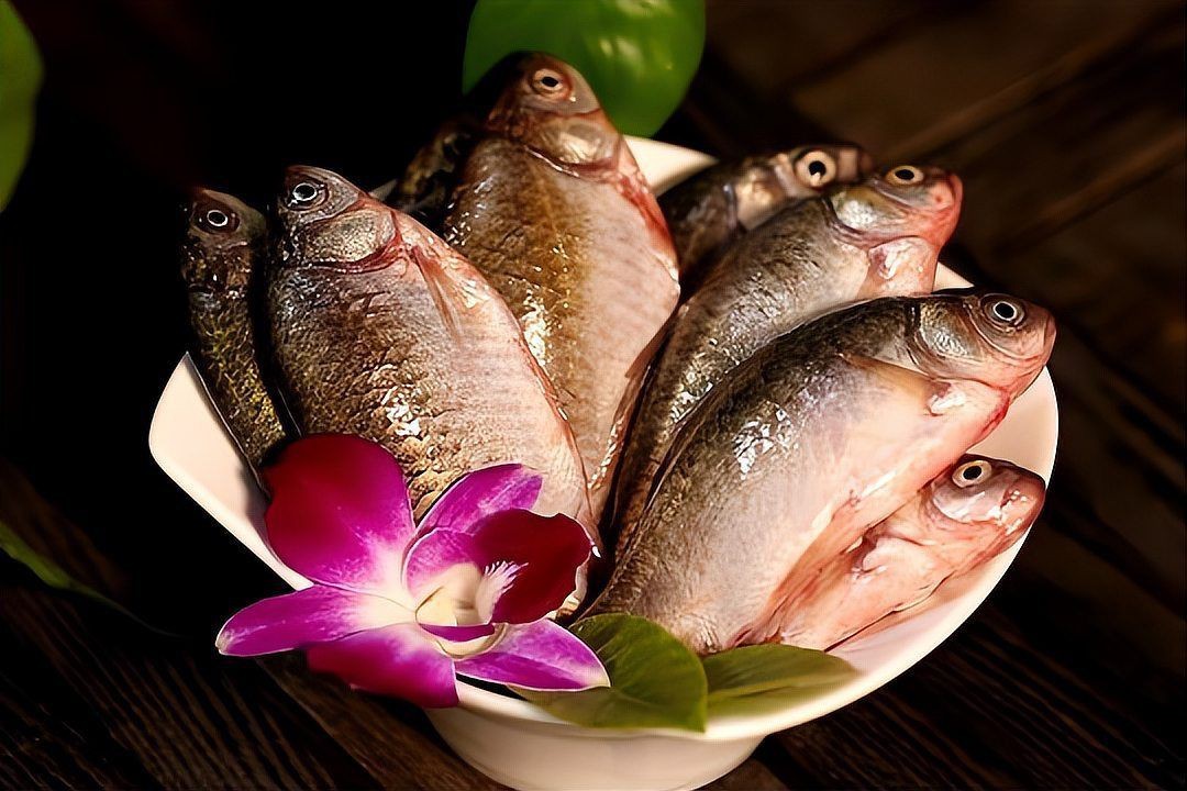 鯽魚為什么叫板鯽 鯽魚為什么叫板鯽 龍魚論壇 第14張