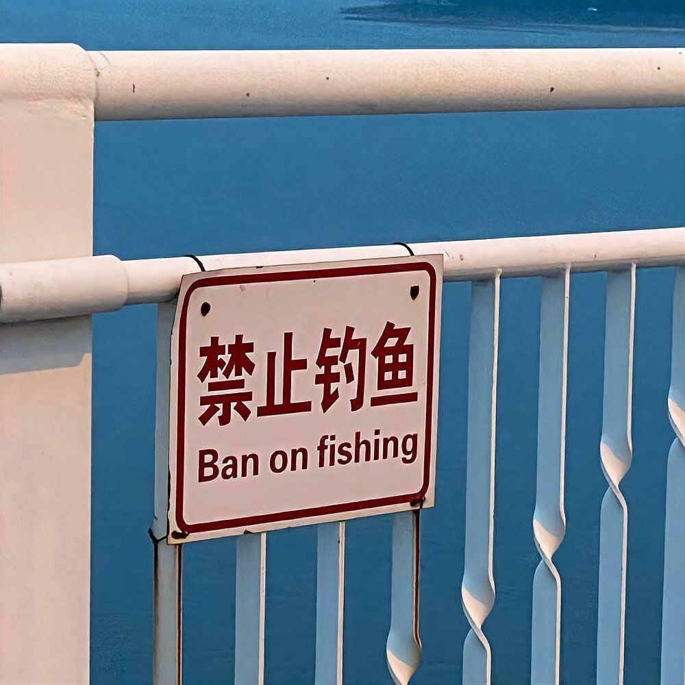 紅眼魚圖片