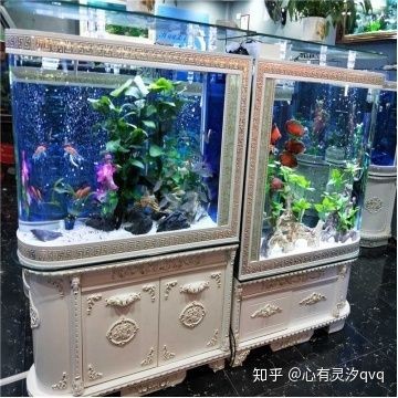 魚缸過濾系統(tǒng)的安裝步驟，魚缸過濾系統(tǒng)的發(fā)展歷程：魚缸底濾的基本安裝步驟
