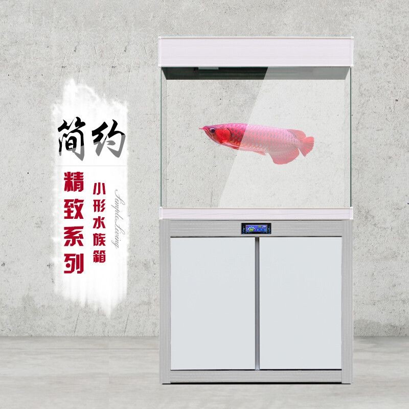 魚缸過濾系統(tǒng)的安裝步驟，魚缸過濾系統(tǒng)的發(fā)展歷程：魚缸底濾的基本安裝步驟