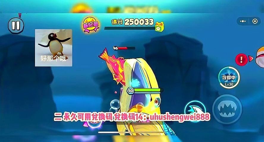 紅龍魚綠皮戰(zhàn)車兌換碼2024最新