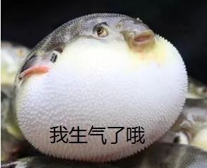 海里的河豚為什么不叫海豚