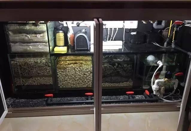森僑魚缸怎么正確處理方法：森僑魚缸怎么正確處理方法詳情