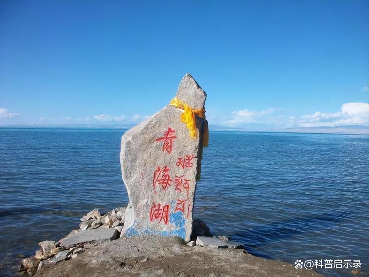 青海湖有魚嗎