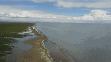 青海湖有魚嗎