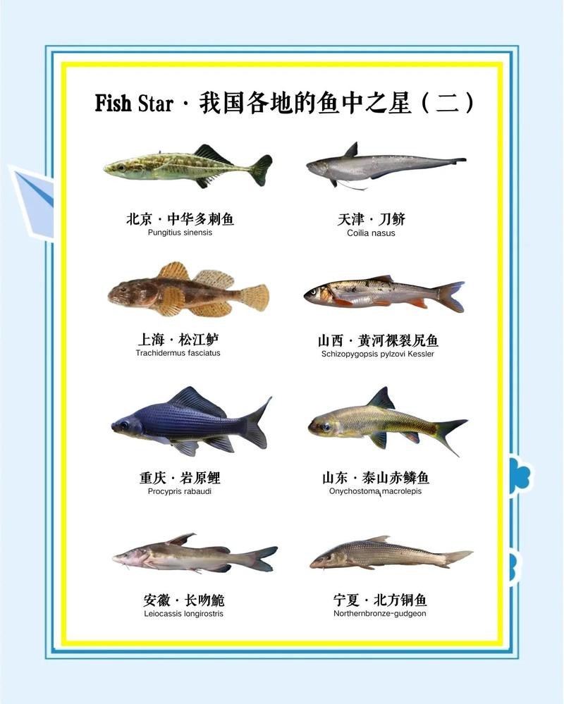 青海湖有魚嗎