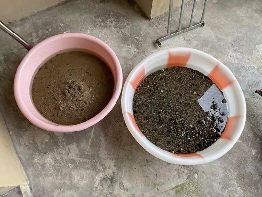 古法養魚缸造景步驟和注意事項：古法養魚與現代養魚技術的區別：古法養魚缸的造景步驟和注意事項