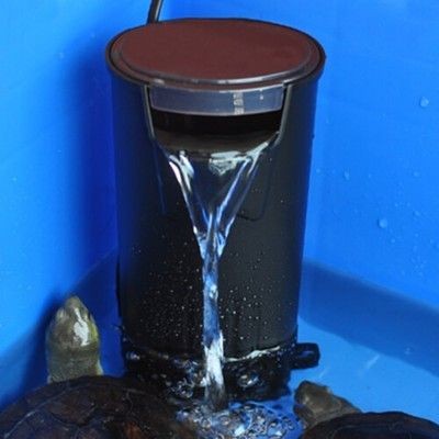 魚缸過濾器簡易制作教程：簡易魚缸過濾器制作教程 魚缸過濾器簡易制作教程：簡易魚缸過濾器制作教程 魚缸百科 第4張