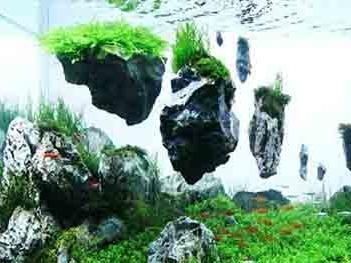 魚缸巖石造景設計：魚缸巖石造景設計的基本原則