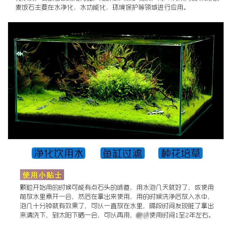 魚缸過濾材料的比較分析：魚缸過濾器過濾材料分析活性炭、陶瓷環、海綿、玻璃棉和生物濾料