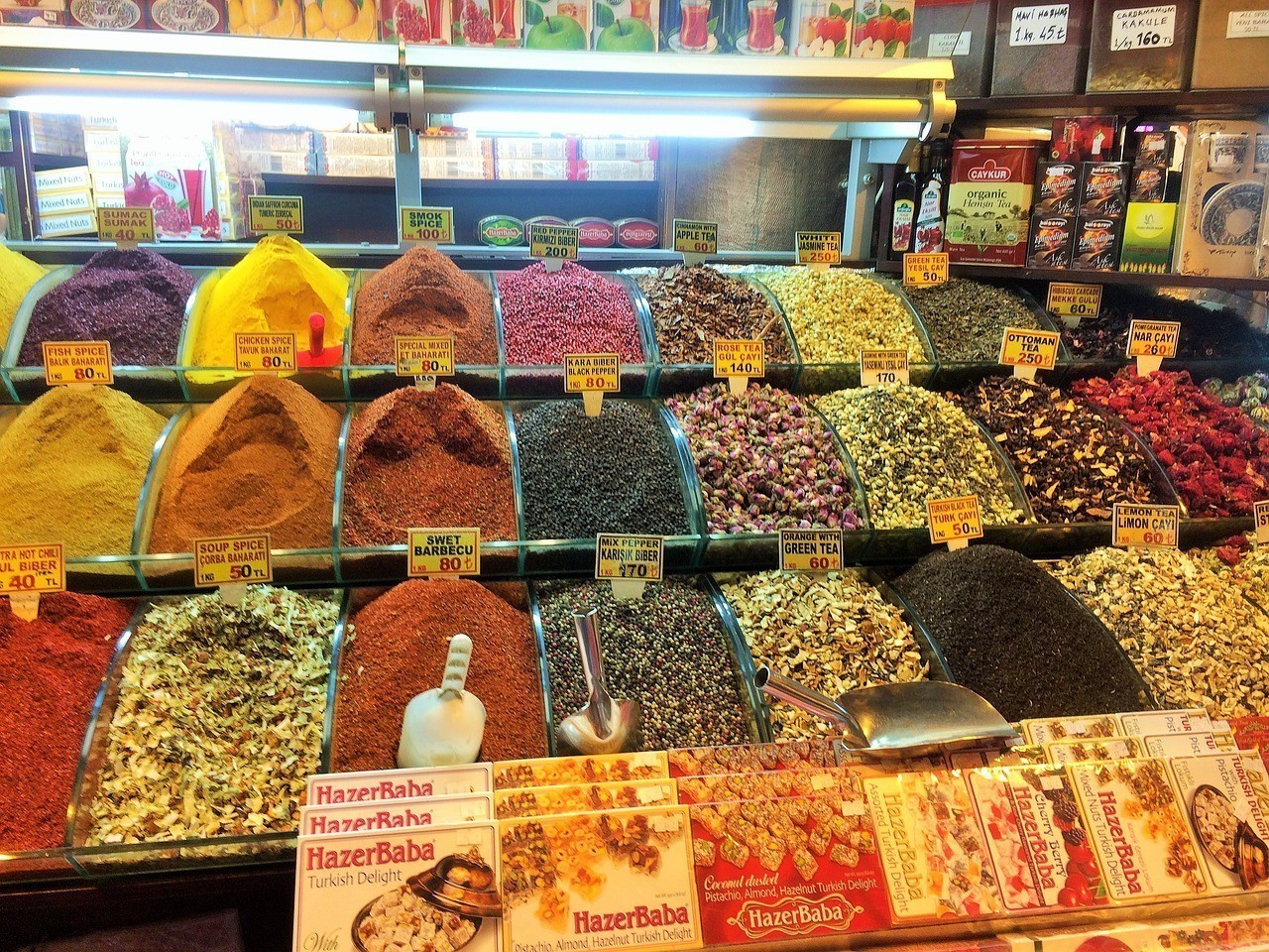 金牛區香春觀賞魚商店