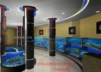 廣州洋清水族科技有限公司提供的大型亞克力魚缸價格為10000元：如何選擇家用魚缸