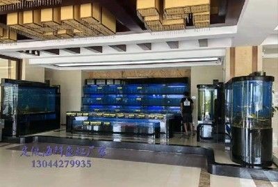 廣州洋清水族科技有限公司提供的大型亞克力魚缸價格為10000元：如何選擇家用魚缸