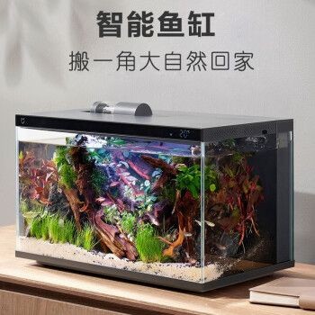 小米魚缸換水教程：小米魚缸換水指南