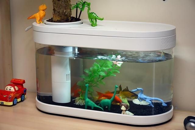 小米魚缸換水教程：小米魚缸換水指南
