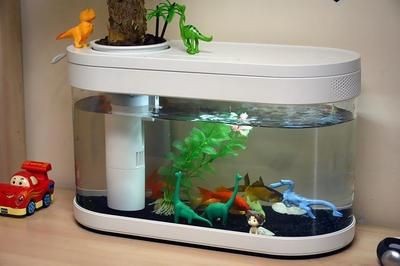 小米魚缸換水教程：小米魚缸換水指南