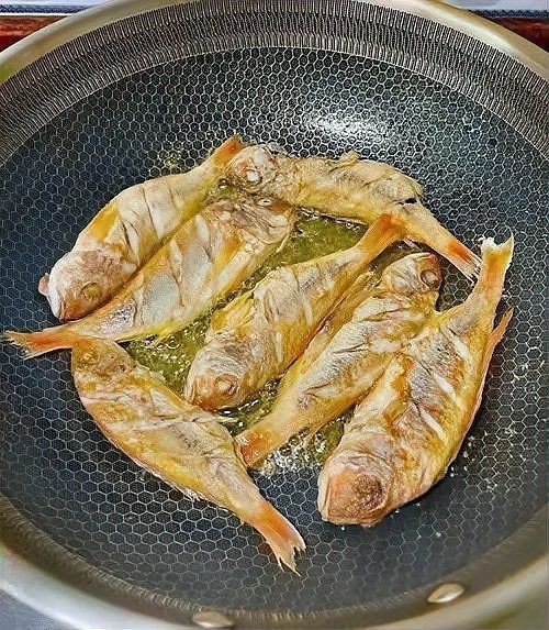 紅三刀魚好吃嗎 龍魚論壇 第9張 紅三刀魚好吃嗎 紅三刀魚好吃嗎 龍魚論壇 第9張