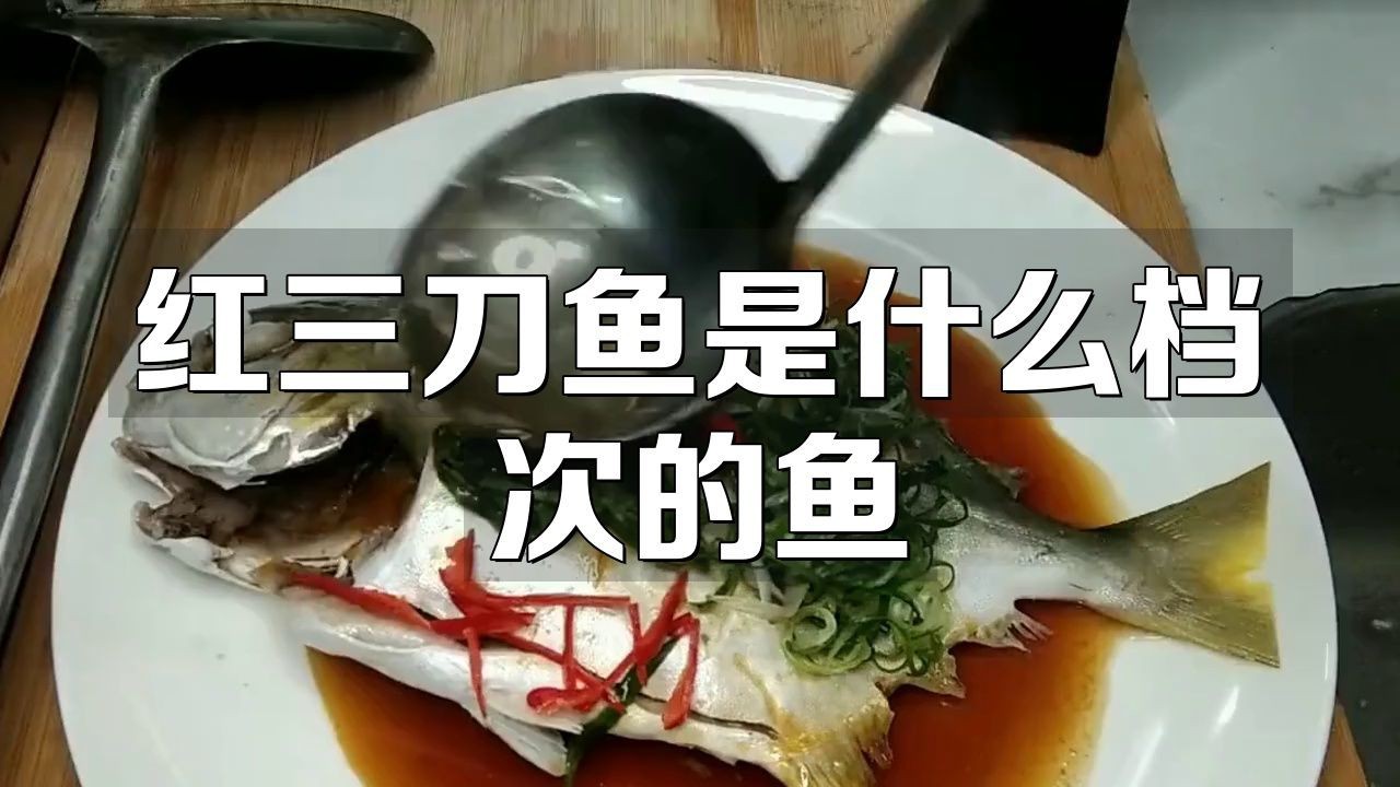 紅三刀魚好吃嗎 龍魚論壇 第7張 紅三刀魚好吃嗎 紅三刀魚好吃嗎 龍魚論壇 第7張