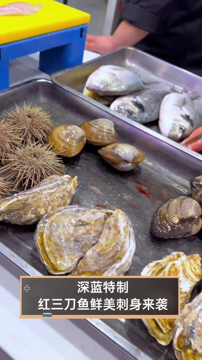 紅三刀魚好吃嗎 龍魚論壇 第13張 紅三刀魚好吃嗎 紅三刀魚好吃嗎 龍魚論壇 第13張