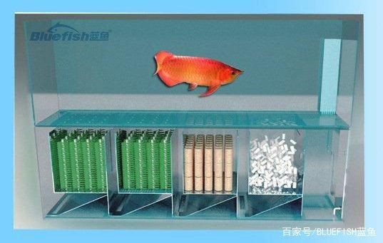 魚缸濾材怎么用：如何正確使用魚缸濾材