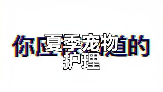 龍貓中暑后如何急救處理？